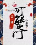 另一种可能之门 封面
