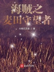 海贼之麦田守望者 封面