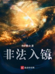 华夏隐龙 封面