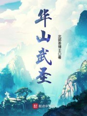 华山武圣 封面