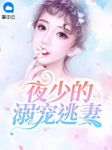 夜少的溺宠逃妻 封面