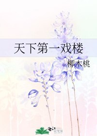 天下第一戏楼 封面