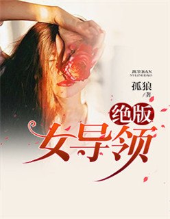 绝版女领导 封面