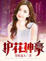 护花神豪 封面