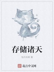 存储诸天 封面