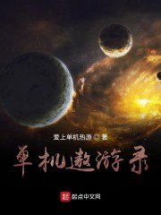 单机遨游录 封面