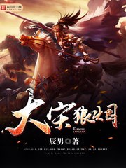 大宋狼烟 封面