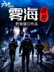 雾海迷踪 封面