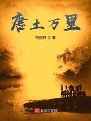 唐土万里 封面