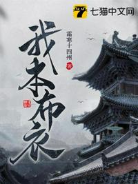 我本布衣 封面