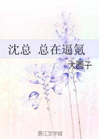 沈总总在逼氪 封面