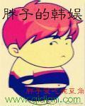 胖子的韩娱 封面