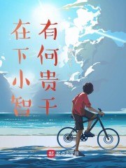 在下小智,有何贵干 封面