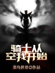 骑士从空我开始 封面