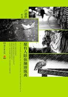 愿有人陪你颠沛流离 封面