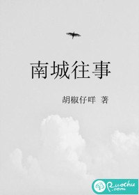 南城往事 封面