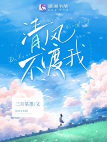 清风不渡我 封面