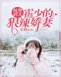 霍少妻子不好惹 封面