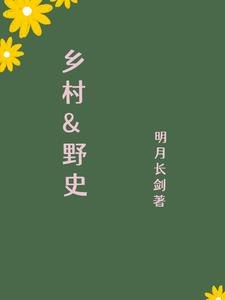 乡村野史 封面