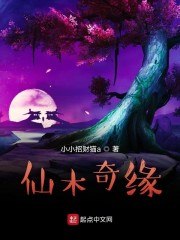 仙木奇缘 封面
