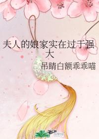 夫人的娘家实在过于强大 封面