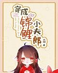 穿成锦鲤小夫郎 封面