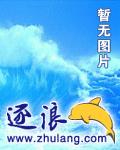 黑天鹅丛林浴血 封面