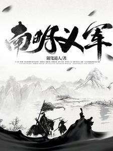 南明义军 封面