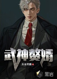 武神赘婿 封面