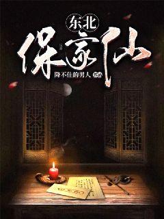 东北保家仙 封面