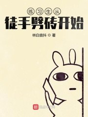 练习生从徒手劈砖开始 封面