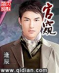 官窥 封面