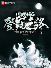 精灵之登冠之路 封面