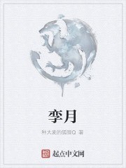 孪月 封面