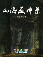 山海藏神录 封面