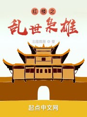 红楼之乱世枭雄 封面