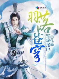 羽落苍穹 封面