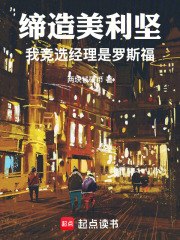 缔造美利坚:我竞选经理是罗斯福 封面