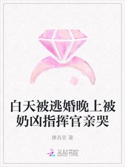白天被逃婚晚上被奶凶指挥官求抱抱苏晚顾爵 封面