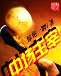 中场主宰 封面