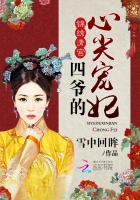 叶枣四爷 封面