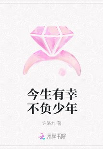 今生有幸不负少年 封面