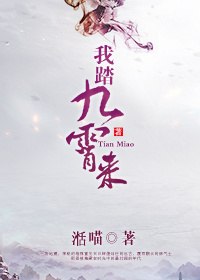 我踏九霄来 封面