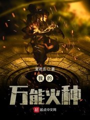 我的万能火种 封面