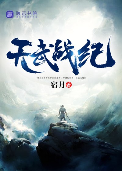 天武战纪 封面