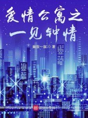 爱情公寓之一见钟情 封面