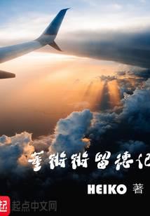 董锵锵留德记 封面