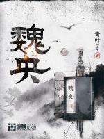 魏央 封面