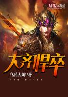 大齐悍卒 封面