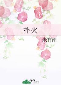扑火 封面
